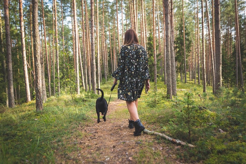 Walking meditation